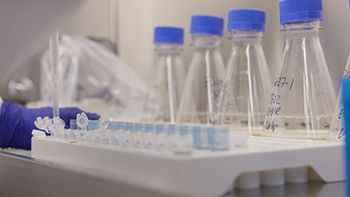 Madison Facility_00_00_34_18.Still003_460.jpg