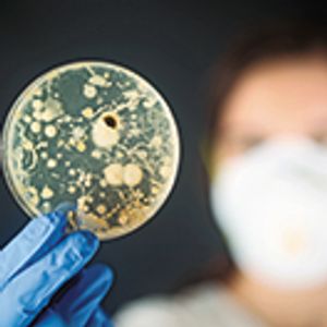 Bioburden Control in the Biopharmaceutical Industry