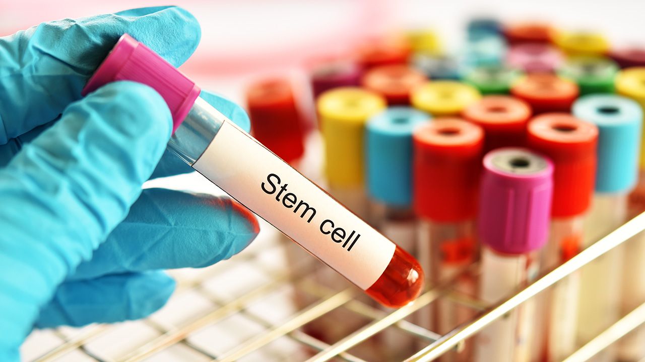 Zemcelpro Stem Cell Therapy Granted EC Conditional Marketing Authorizaion
