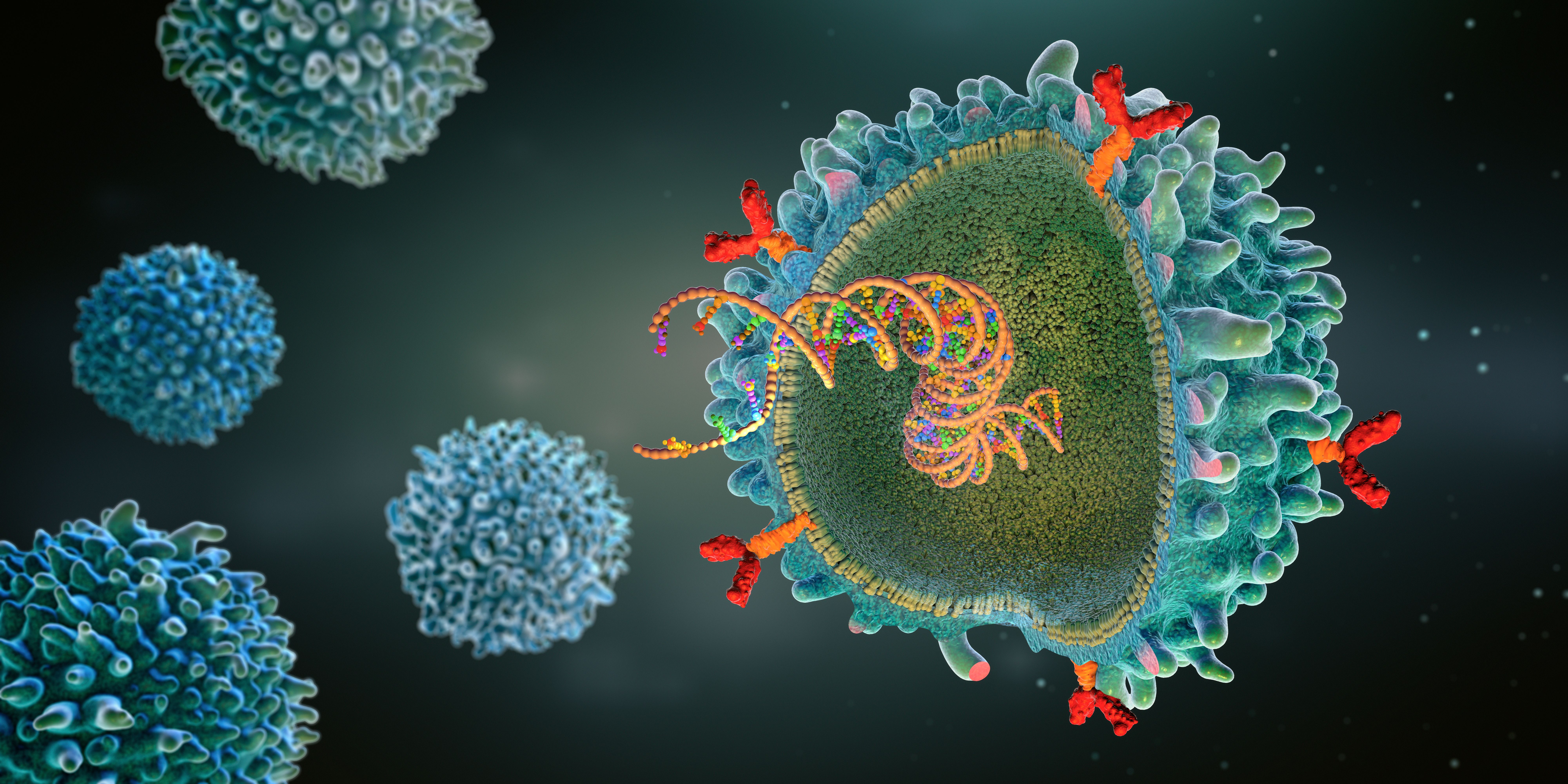 3D illustration of a genetically engineered immune cell displaying chimeric antigen receptors on its surface. | Image Credit: © Christoph Burgstedt - stock.adobe.com