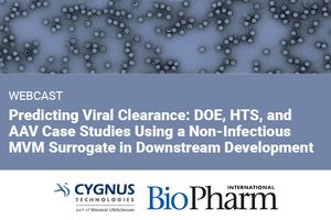 Predicting Viral Clearance: DOE, HTS, and AAV Case Studies Using a Non-Infectious MVM Surrogate in Downstream Development