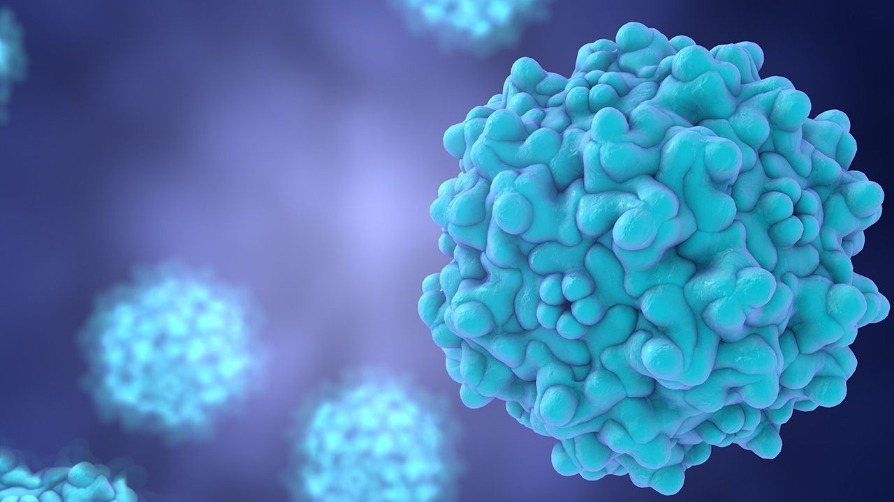 Background with viruses. Adeno-associated virus serotype 1. Virus is used as a vector for gene therapy. A model is built using data of viral macromolecular structure from Protein Data Bank (PDB 3NG9) | Image credit: © Dr_Microbe - © Dr_Microbe - stock.adobe.com