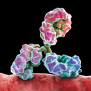 mAb Purification: Rethinking the Initial Capture Step