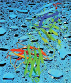 Next Generation Peptide Mapping with Ultra Performance Liquid Chromatography