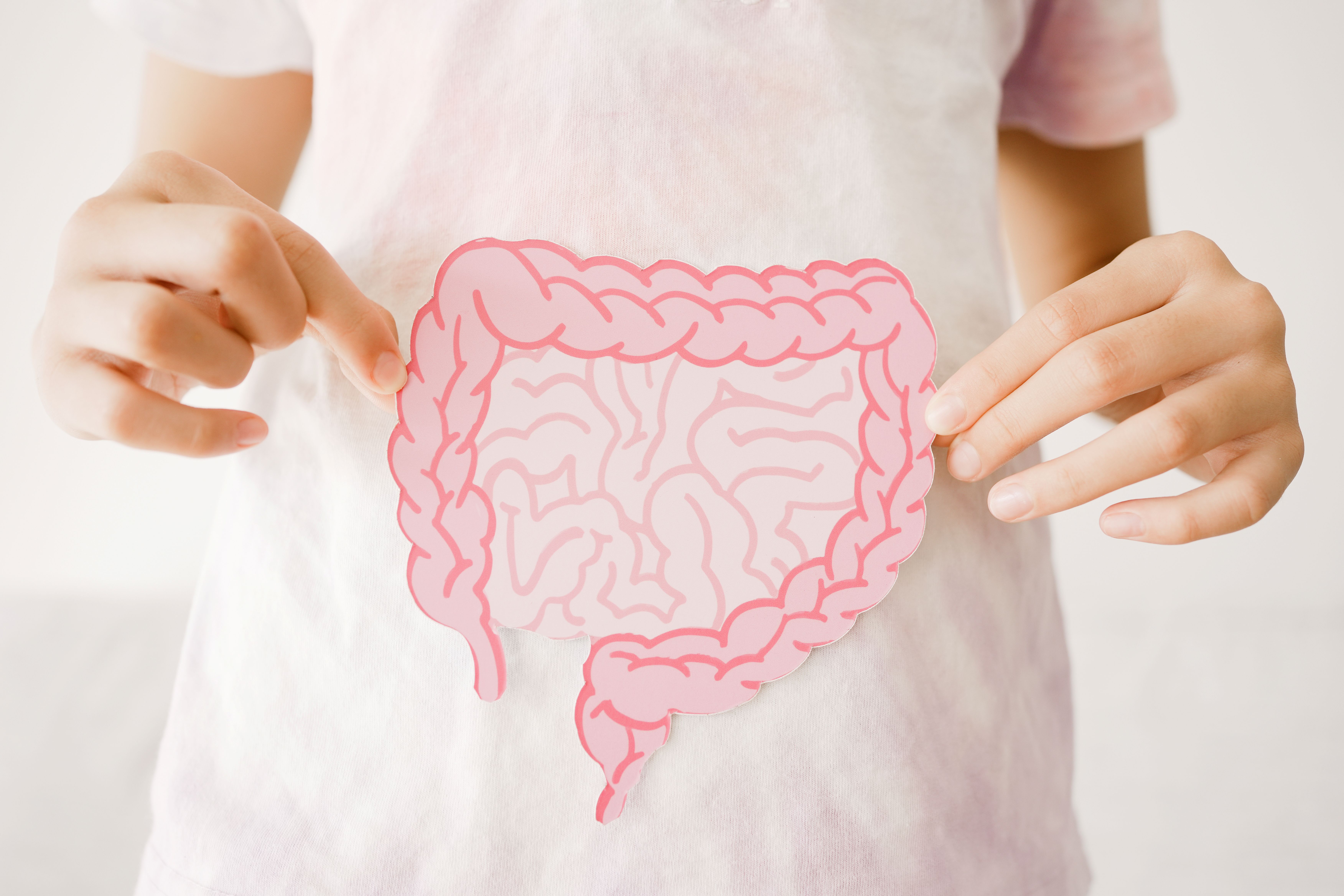 A child in a light pink tie-dye shirt holds a pink paper cutout of the large and small intestines in front of their abdomen. | Image Credit: © SewCreamStudio - stock.adobe.com