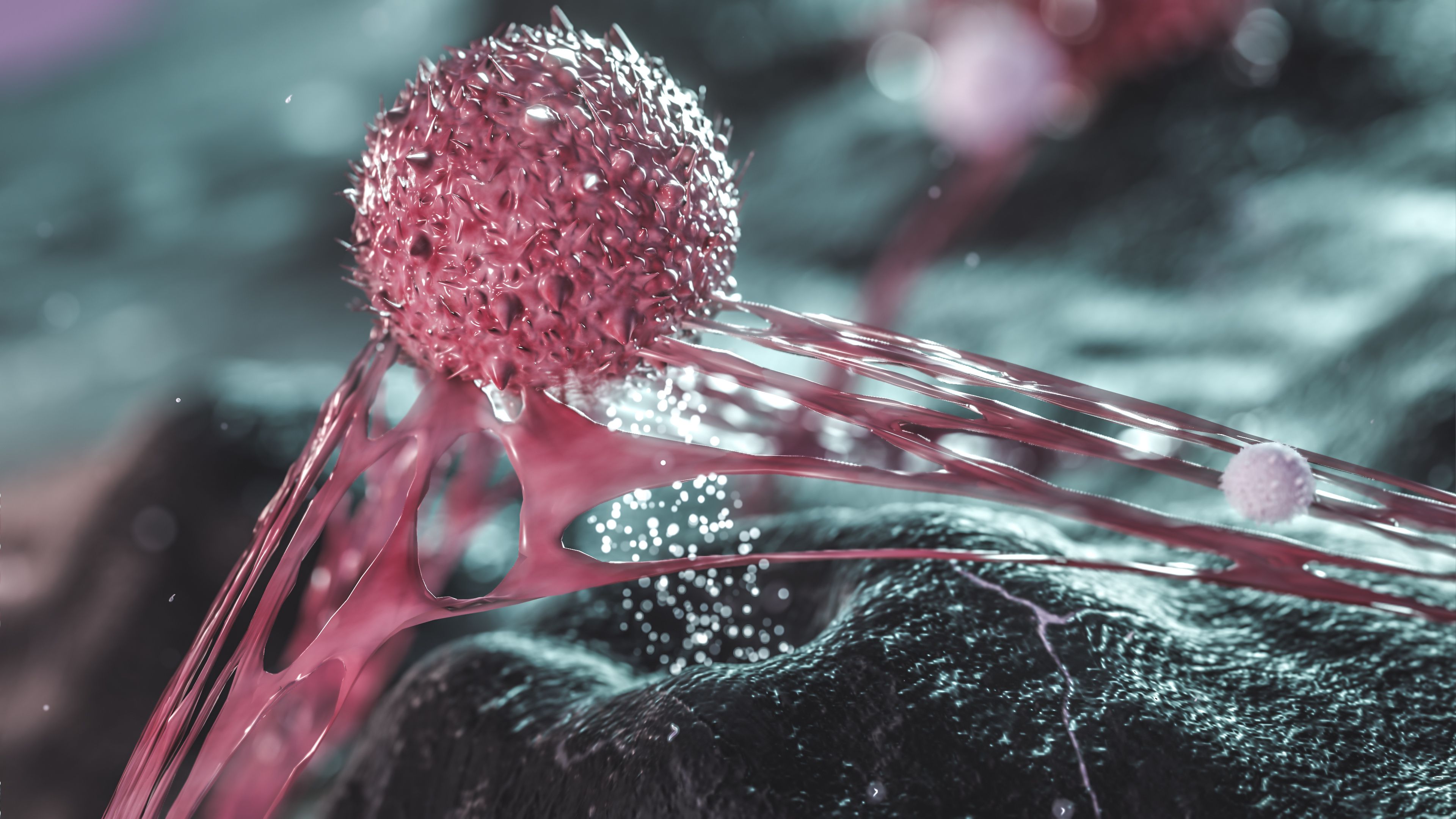3D-rendered illustration depicting cancer cells and immune cells interacting within a tumor microenvironment. | Image Credit: © catalin - stock.adobe.com