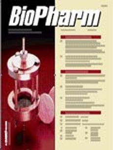 BioPharm International-01-01-2002