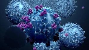 3D illustration of protein structures interacting with lymphocytes and cancer cells. | Image Credit: © Design Cells - stock.adobe.com