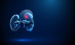 Phase III MAJESTY Trial Shows Obinutuzumab Superior to Tacrolimus in Primary Membranous Nephropathy