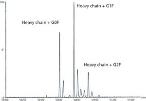 Antibody-Figure-6B-733326-1417781513405.jpg