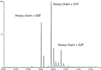 Antibody-Figure-6B-733326-1417781513405.jpg