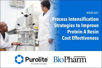 Process Intensification Strategies to Improve Protein A Resin Cost Effectiveness