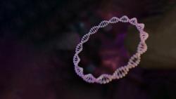 Plasmid DNA—The Versatile Building Block