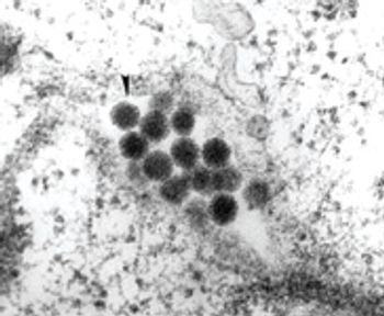 Nims-et-al-Fig.-2_t-557250-1408660351275.jpg