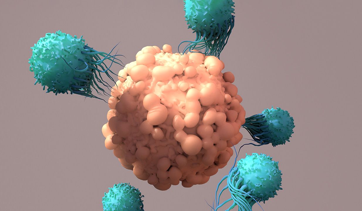 T-Cells Work to Fight Cancer, Immunotherapy, CAR T-cell therapy, 3d rendering | Image Credit: © Design Cells - © Design Cells - stock.adobe.com