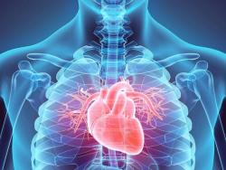 Can Biologics Expand in Cardiology, and What Is the Role for Biosimilars?