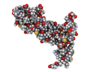 Similar PK, Safety, and Immunogenicity Demonstrated for Proposed Bevacizumab Biosimilar