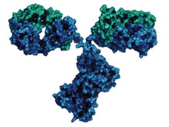 PF-05280586 is Similar to Reference Rituximab in Follicular Lymphoma