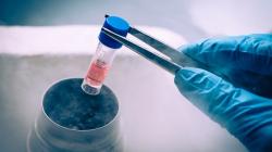 Ten Years of Data Support Safety of Biosimilar Filgrastim for Donor Mobilization