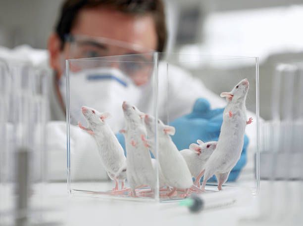Opinion: The Debate Over Animal Toxicology Studies