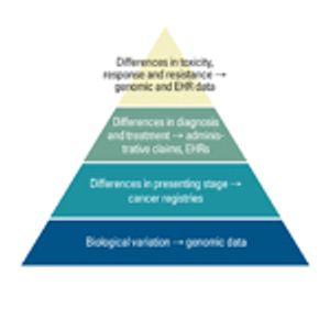 Reducing Racial Disparities in Breast Cancer Care: The Role of 'Big Data' 