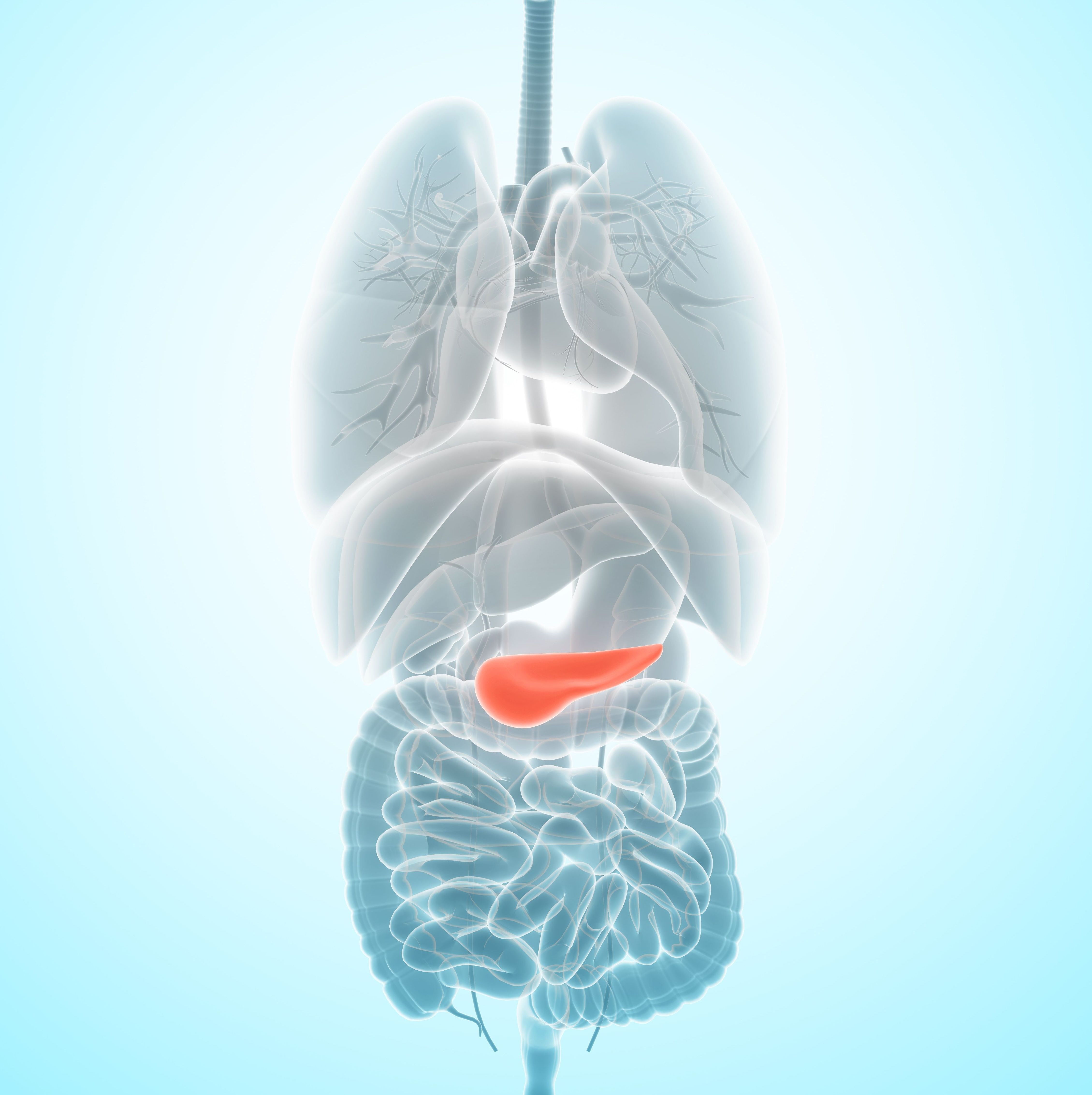 Novel Vaccine Shows Early Responses in Pancreatic Cancer and CRC