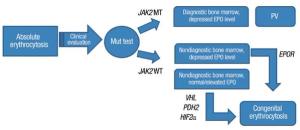 Implications of Mutation Profiling in Myeloid Malignancies-PART 2: Myeloproliferative Neoplasms and Other Myeloid Malignancies