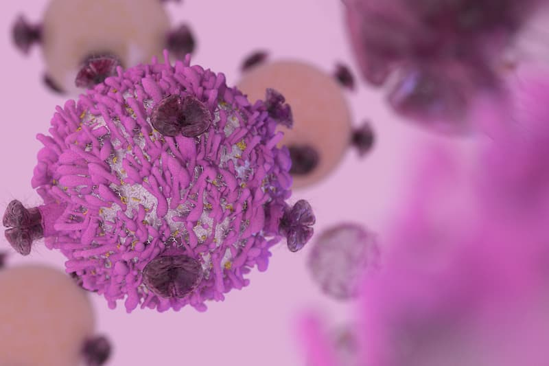 iDFS, OS Not Improved With Everolimus Plus Adjuvant Endocrine Therapy in HR+/HER2- Breast Cancer