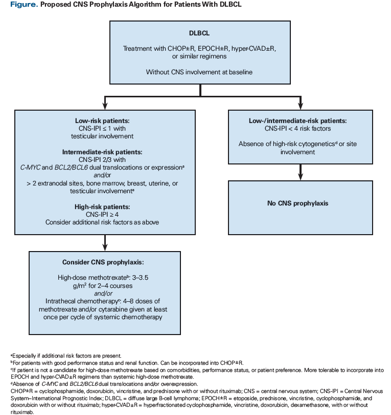How To Decide Which Dlbcl Patients Should Receive Cns Prophylaxis