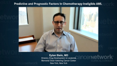 EP. 4 Predictive and Prognostic Factors In Chemotherapy-Ineligible AML