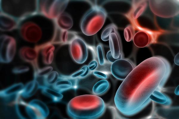 Jennifer Effie Amengual, MD, discussed using epigenetic drugs to enhance immune surveillance and other novel lymphoma therapeutic strategies.