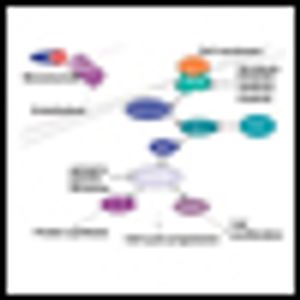 New Therapeutics for Soft-Tissue Sarcomas in Adults