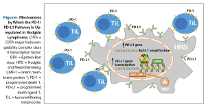 Checkpoint Inhibition in Hodgkin Lymphoma: Saving the Best for Last?