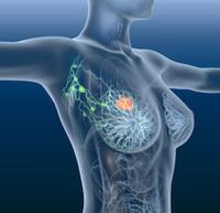 The safety profile of tucatinib plus trastuzumab and pertuzumab was consistent with the established profiles of each individual agent.