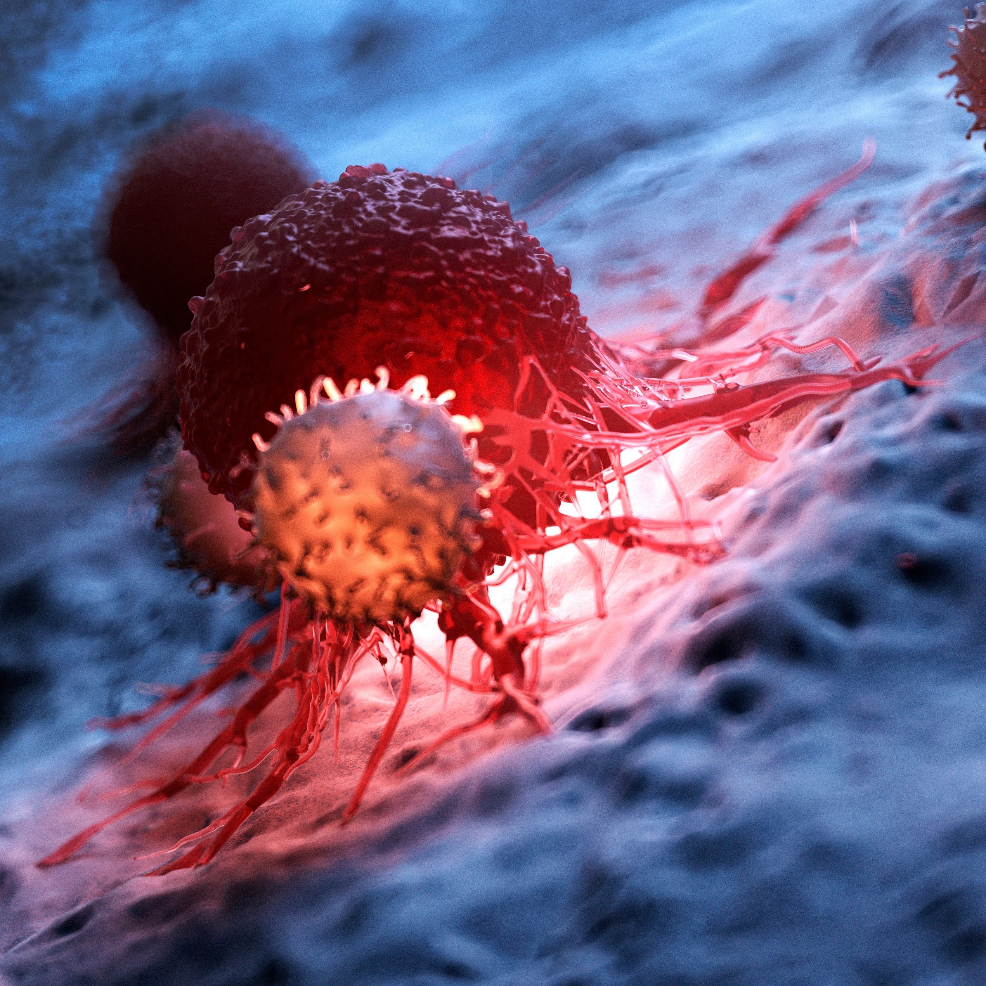 Care Plans, Education Improve Long-term Quality of Life