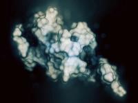 In the LINKER-SMM1 trial, single-agent linvoseltamab produced a 100% overall response rate among evaluable patients with high-risk smoldering multiple myeloma.