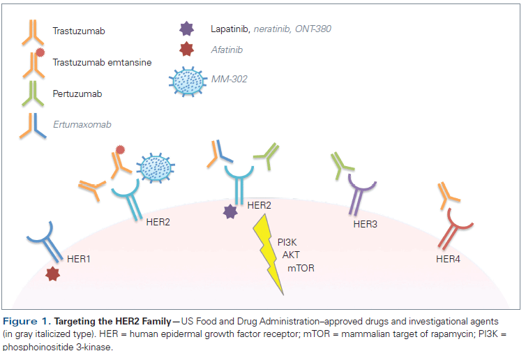 Management of Metastatic HER2-Positive Breast Cancer: Where Are We and Where Do We Go From Here? Management of Metastatic HER2-Positive Breast Cancer: Where Are We and Where Do We Go From Here?