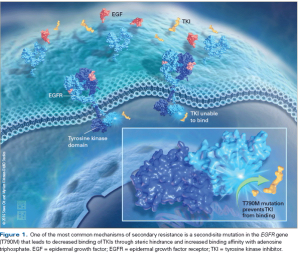  Attacking a Moving Target: Understanding Resistance and Managing Progression in EGFR-Positive Lung Cancer Patients Treated With Tyrosine Kinase Inhibitors 