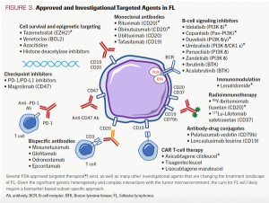 Follicular Lymphoma: a Focus on Current and Emerging Therapies