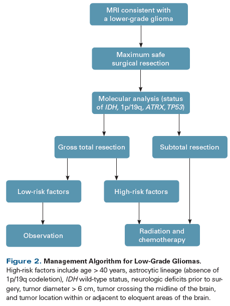 Newer Strategies For The Management Of Low Grade Gliomas