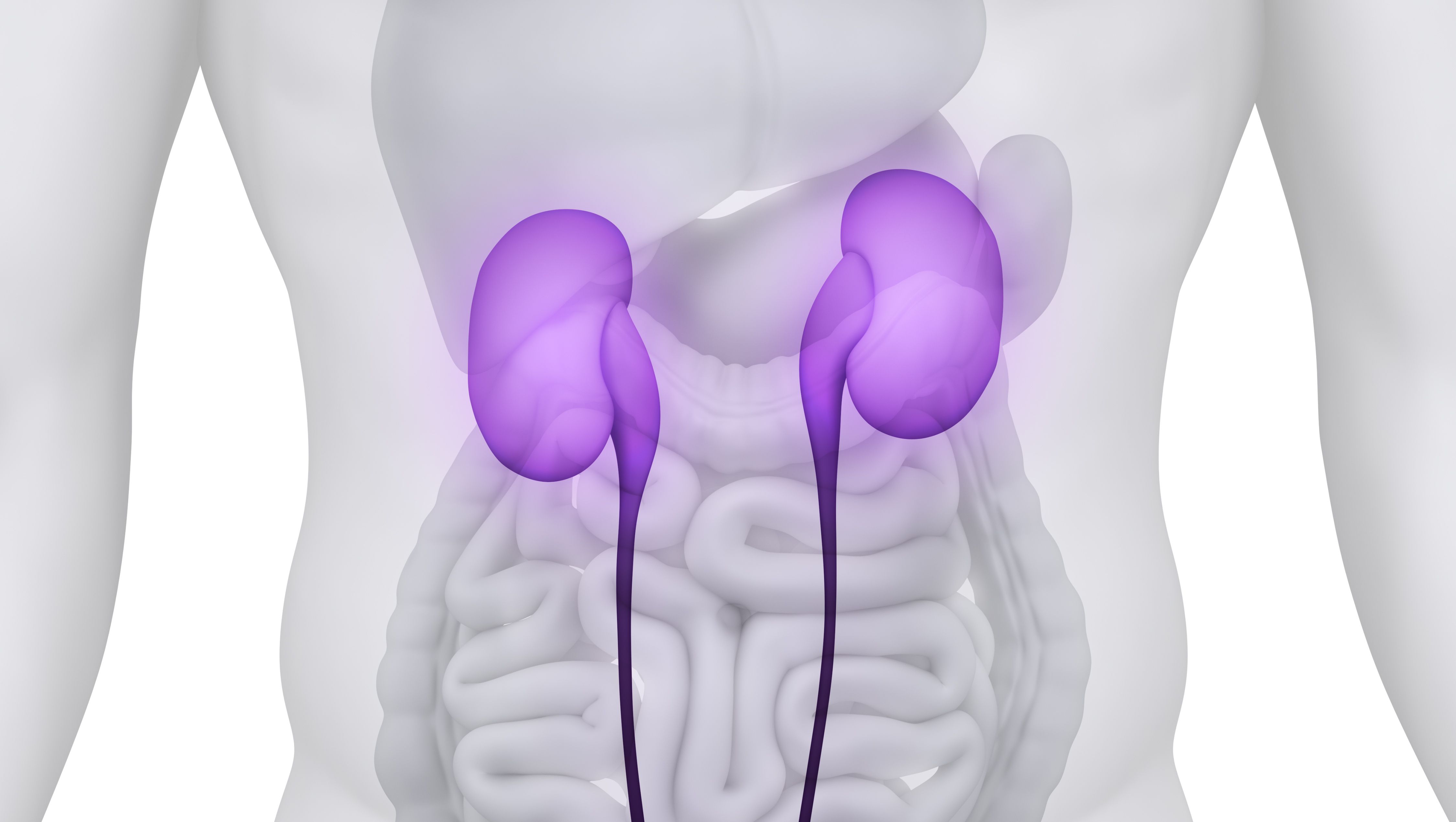 Potential Biomarker May Predict Outcomes/Response in RCC