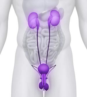 Cisplatin Neoadjuvant Chemotherapy in an Aging Population With Muscle-Invasive Bladder Cancer