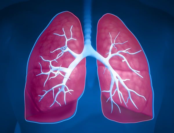 Data from the Beamion LUNG-1 trial may help clinicians make informed decisions on HER2-targeted therapy for those with advanced or metastatic NSCLC.
