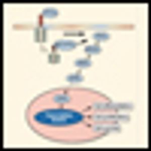 New Directions in the Systemic Treatment of Metastatic Thyroid Cancer
