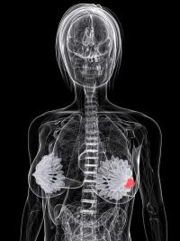 Data from SERENA-6 showed delayed disease progression and deterioration in QOL among patients who switched to camizestrant plus CDK4/6 inhibition. 