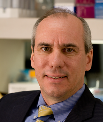 Oncogenes Driving Squamous Cell Lung Carcinoma