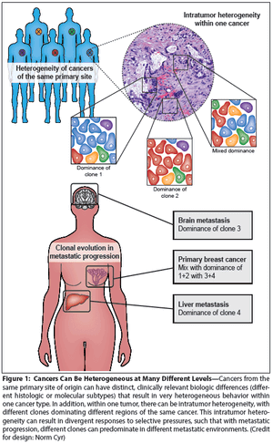 Heterogeneity and Cancer