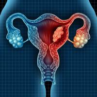 Long-term follow-up from the phase 3 RUBY trial revealed a 54% estimated cure rate with the dostarlimab combination in dMMR/MSI-H primary advanced or recurrent endometrial cancer.