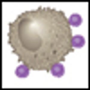 Immunotherapy in Castration-Resistant Prostate Cancer: Integrating Sipuleucel-T Into Our Current Treatment Paradigm