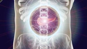 A New Horizon in Cancer Care: Liquid Biopsy